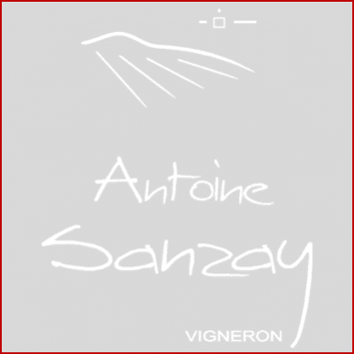 Domaine Antoine Sanzay | Antoine SANZAY